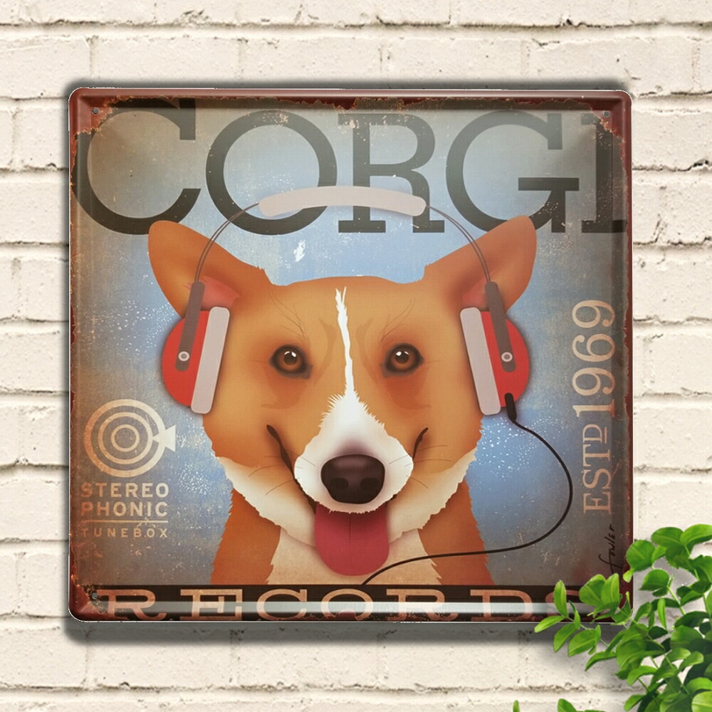 楽天市場】ブリキ看板 30 犬 コーギー レコード ポスター インテリア