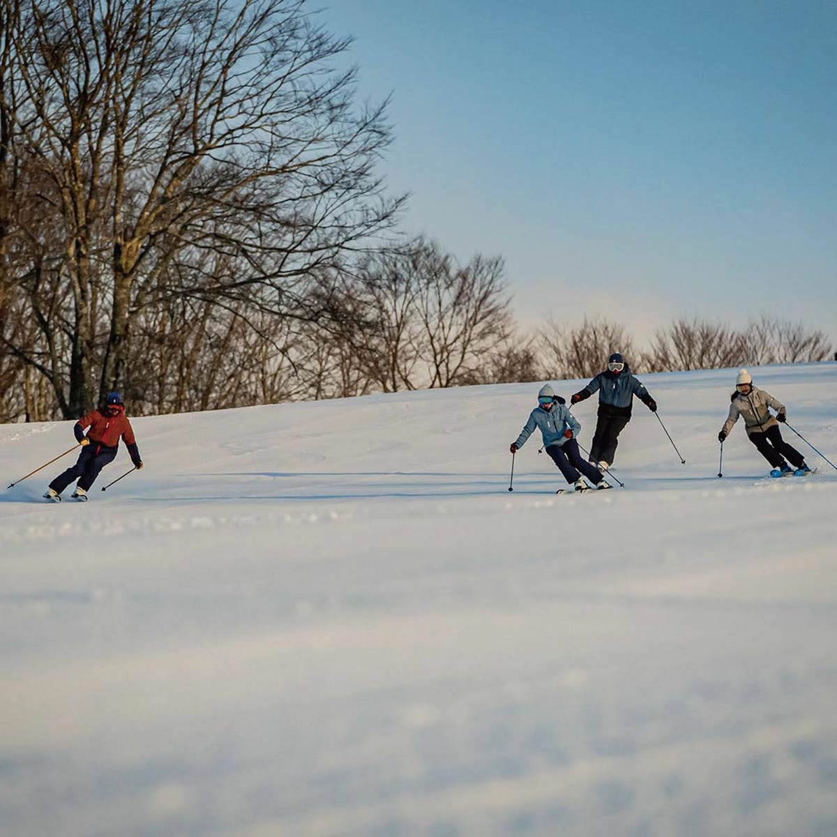 楽天市場】スキーウェア スキーパンツ レディース パンツ MILLET