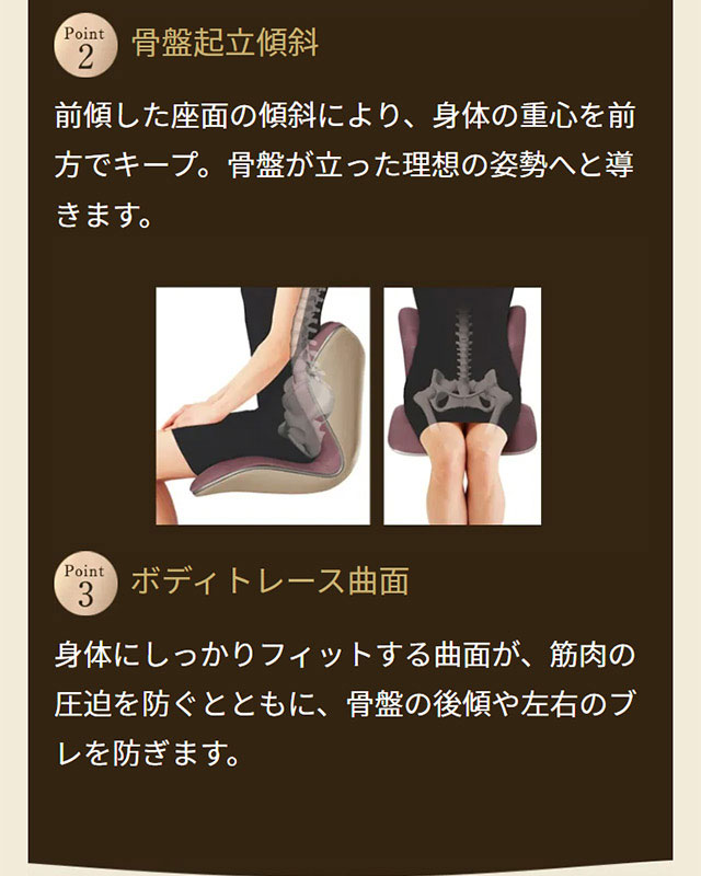 MTG 骨盤矯正クッション 黒（スタイルプレミアム） Style（スタイル