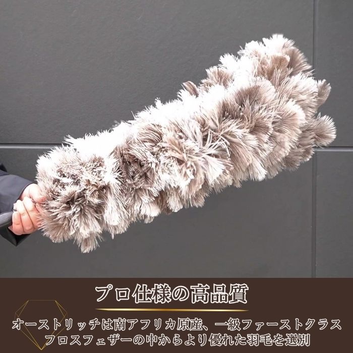 楽天市場】【365日楽天倉庫発送】ランキング1位 ED-120GY 毛ばたき