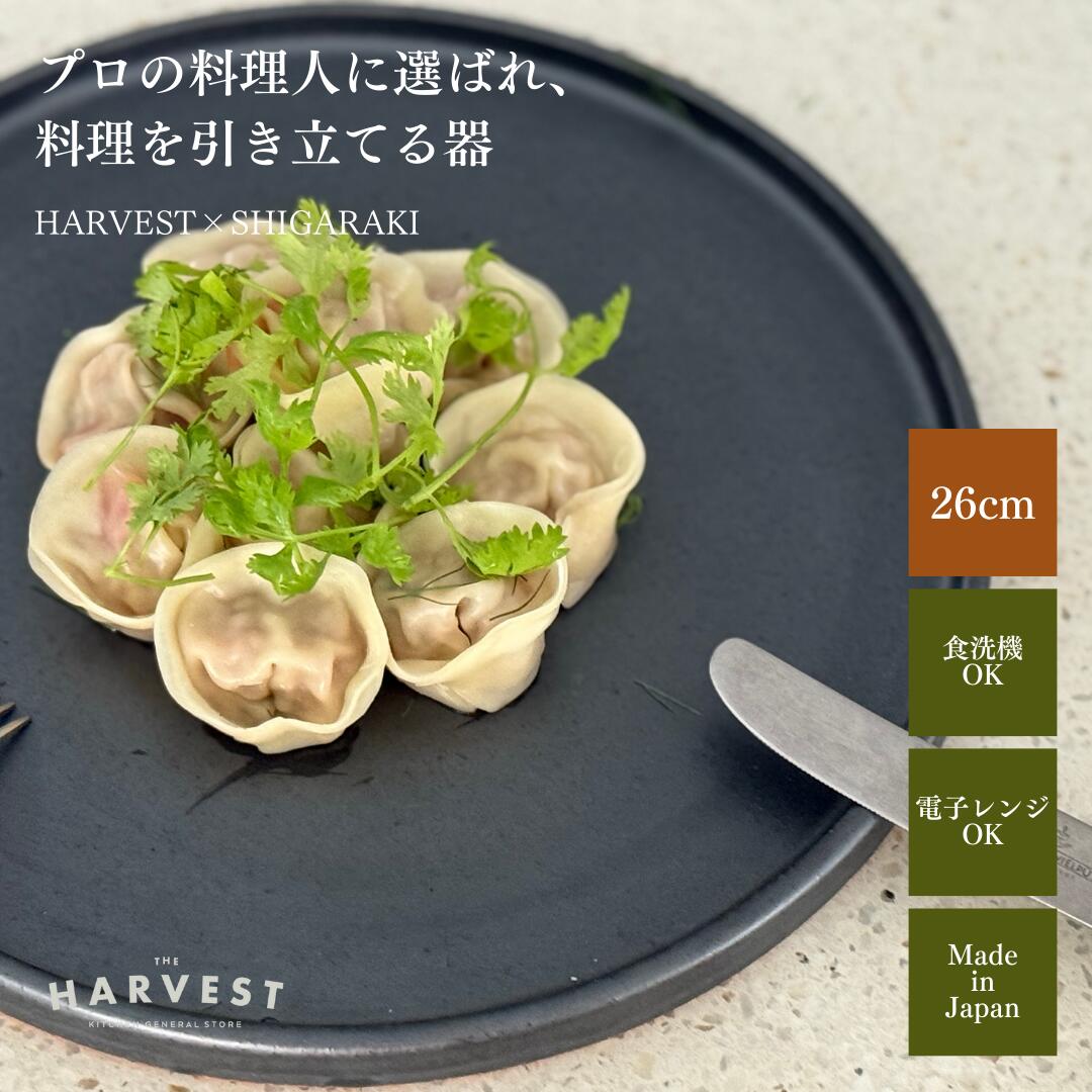 楽天市場】【信楽焼xカフェ風】HARVEST kuro スタックトレイプレート