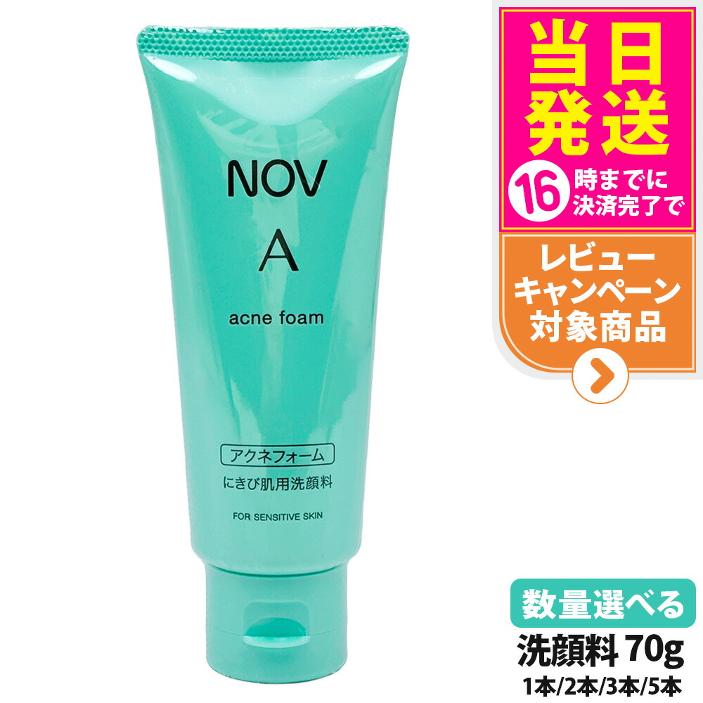 楽天市場】【国内正規品】常盤薬品 NOV ノブ A アクネフォーム 70g
