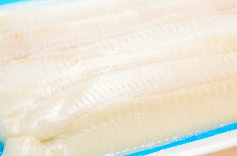 楽天市場】えんがわ 500g お刺身用高級カラスガレイえんがわ 寿司屋が