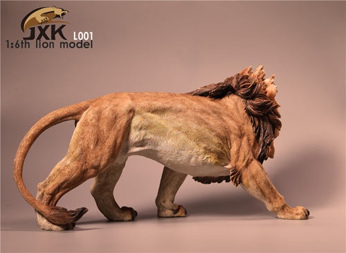 楽天市場】【JxK.Studio】JxK002-001 1/6 African Lion 1/6スケール