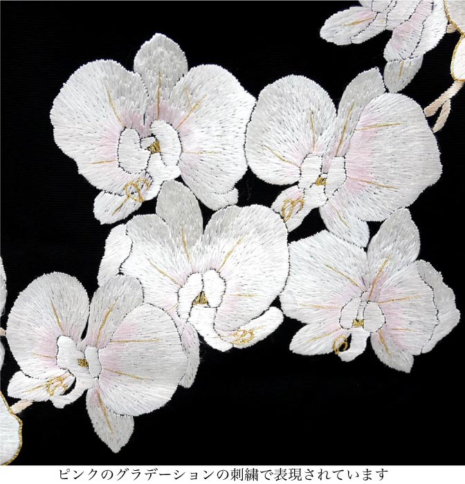 楽天市場】仕立て付き 刺繍訪問着 胡蝶蘭 新品 未仕立品 総刺繍 h-978