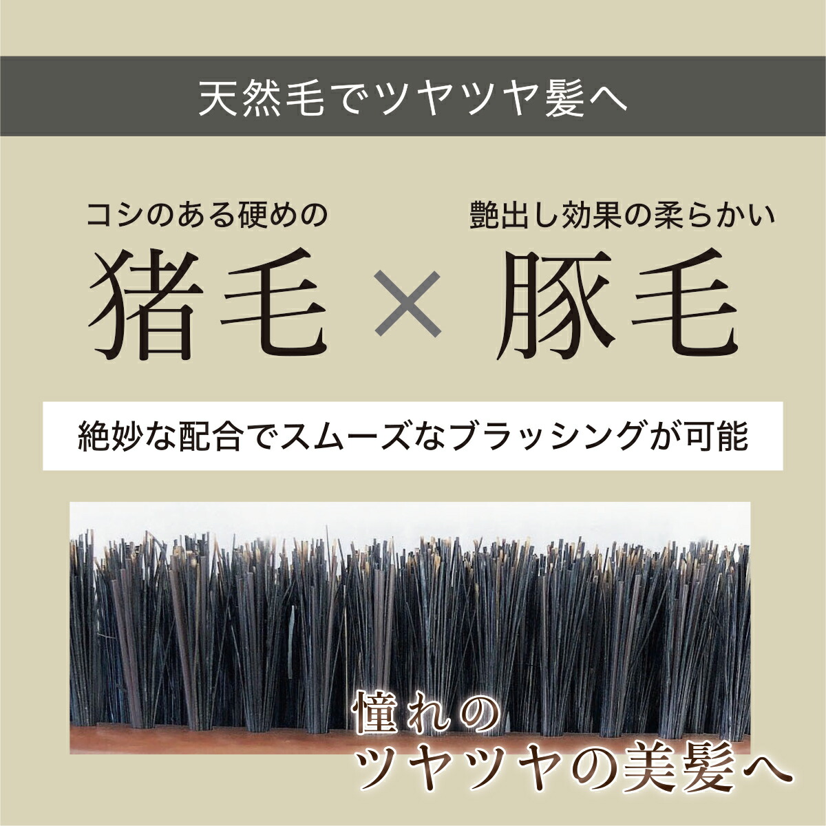 楽天市場】天然毛100％（猪毛・豚毛ミックス）S型ヘアブラシ 1928年