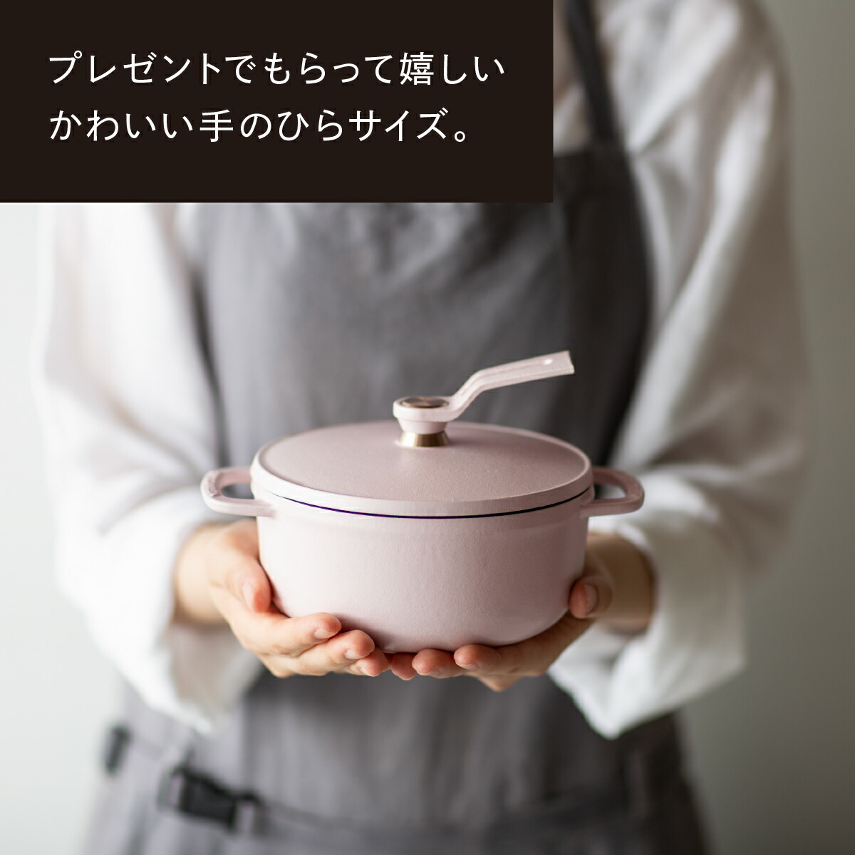 楽天市場】【公式】バーミキュラ オーブンポット2 MINI 14cm マット