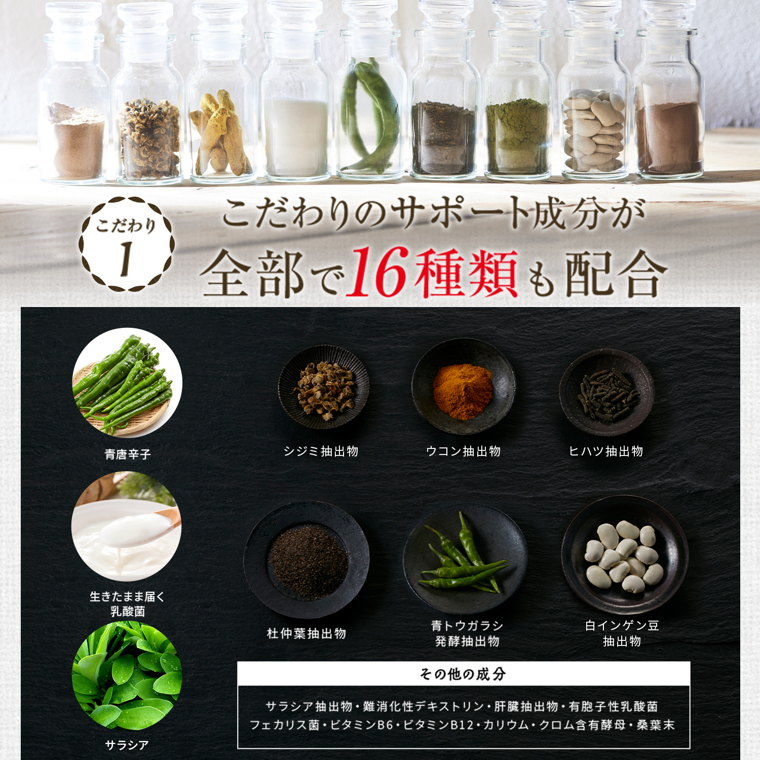 楽天市場】ターミナリアファースト ダイエットサポートサプリ 機能性