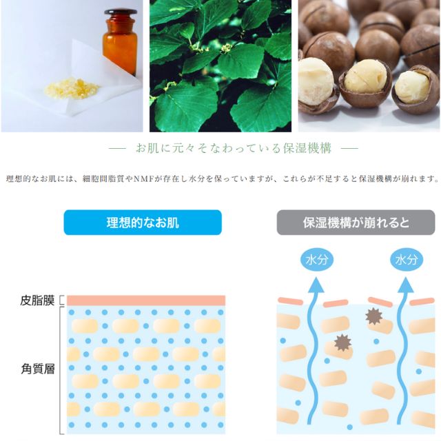 楽天市場】【送料無料】ヒノキ REターンローション 120mL 薬用 化粧水