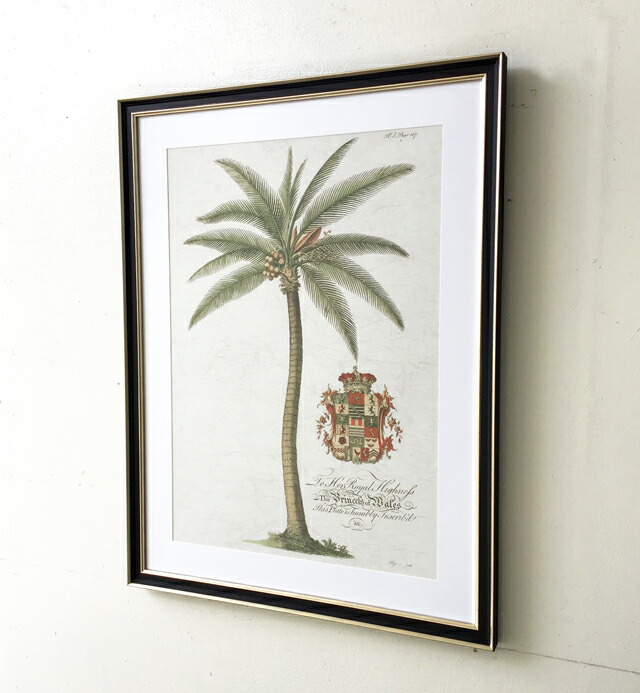 楽天市場】アートポスター アートパネル フレーム付き 額付き