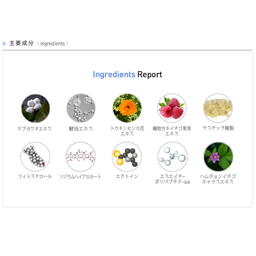 楽天市場】【Rene-Cell】ルネセル ハイクロキュー プレミアムクリーム