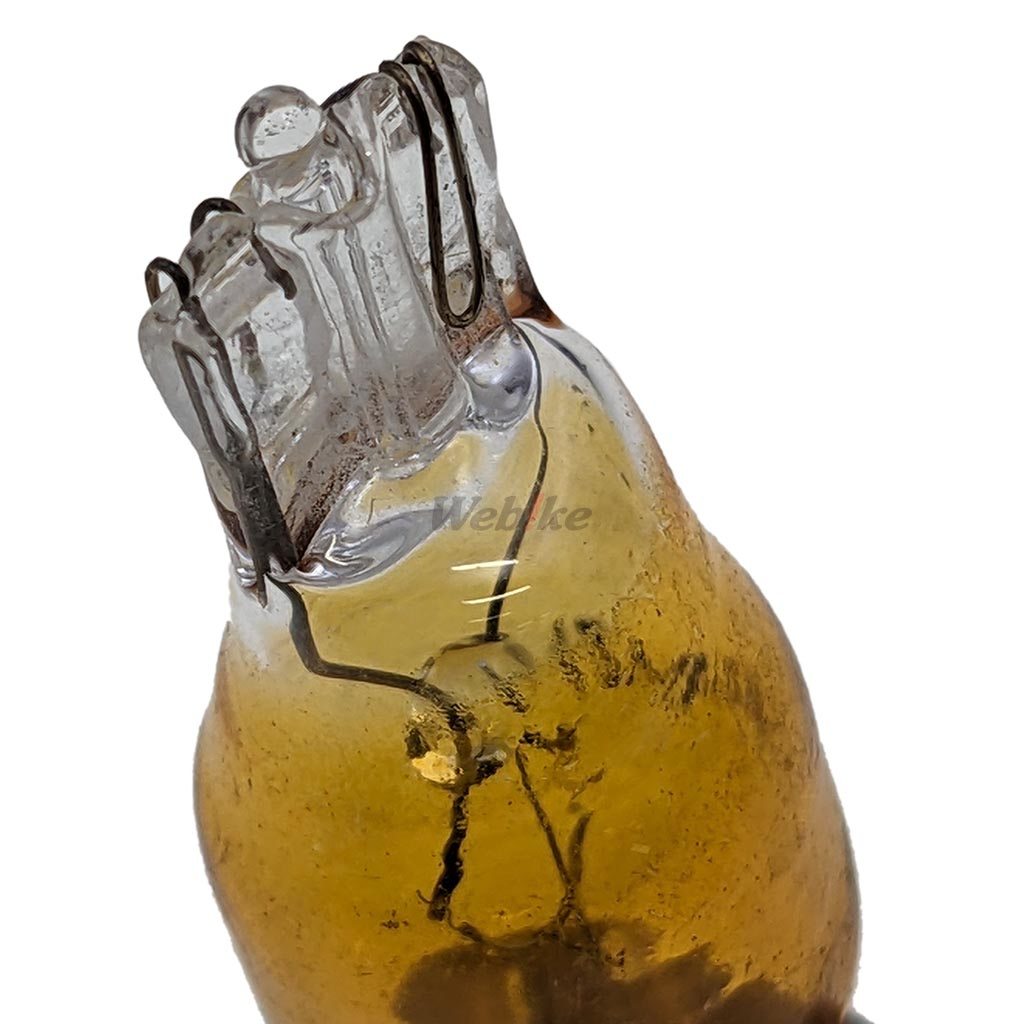 楽天市場】KN企画 ケイエヌキカク ウインカー球 スーパーディオ ライブ