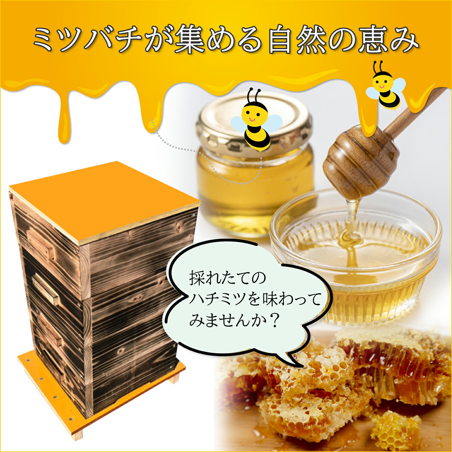 楽天市場】日本蜜蜂 巣箱 ニホンミツバチ 日本みつばち 重箱式巣箱 4段