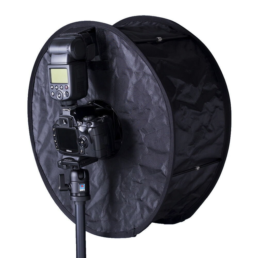 楽天市場】【訳あり】TOKISTAR(トキスター) TS-2001-SB キャッチライト