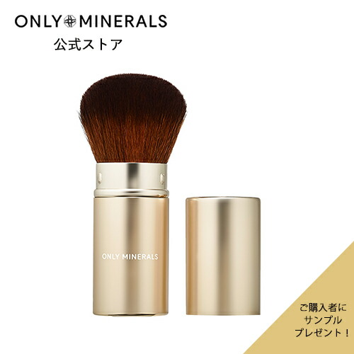 楽天市場】【P10倍☆3/4 20:00から3/11 1:59まで】ブラシ 【ヤーマン