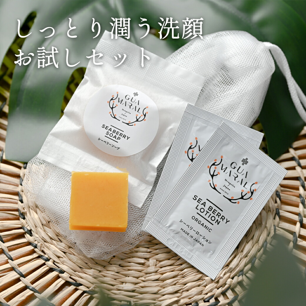 楽天市場】【洗顔石鹸お試しセット】シーベリーソープ お試しサイズ11g