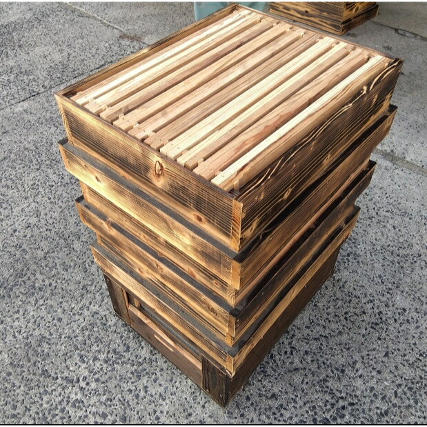 楽天市場】ミツバチ 継箱 焼杉 仕上げ幅500×奥行410×高さ450ミリ 国産