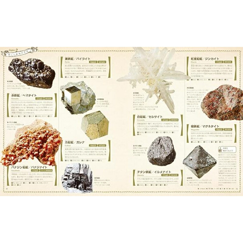 楽天市場】【送料無料】 世界一楽しい 遊べる鉱物図鑑東京書店 : 靴下