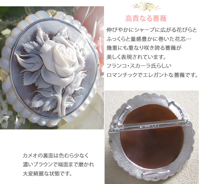 楽天市場】シェルカメオ巨匠 Franco Scala作 シェル カメオ 天然