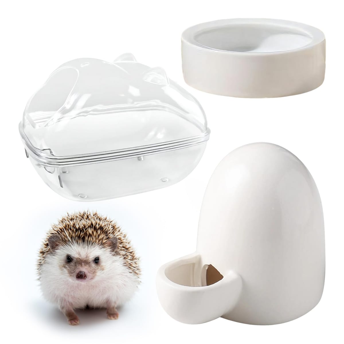 楽天市場】ハリネズミ飼育セットの通販