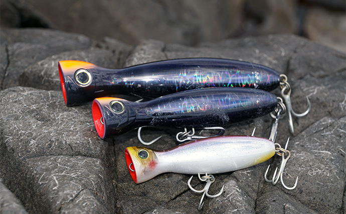 爆飛びルアーで攻略！」トップで大型魚を狙う【ロックショアゲーム最