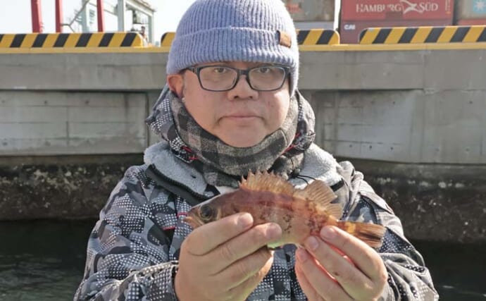 メ解禁日の東京湾エビメバル釣りに密着【金沢八景・一之瀬丸】本命に
