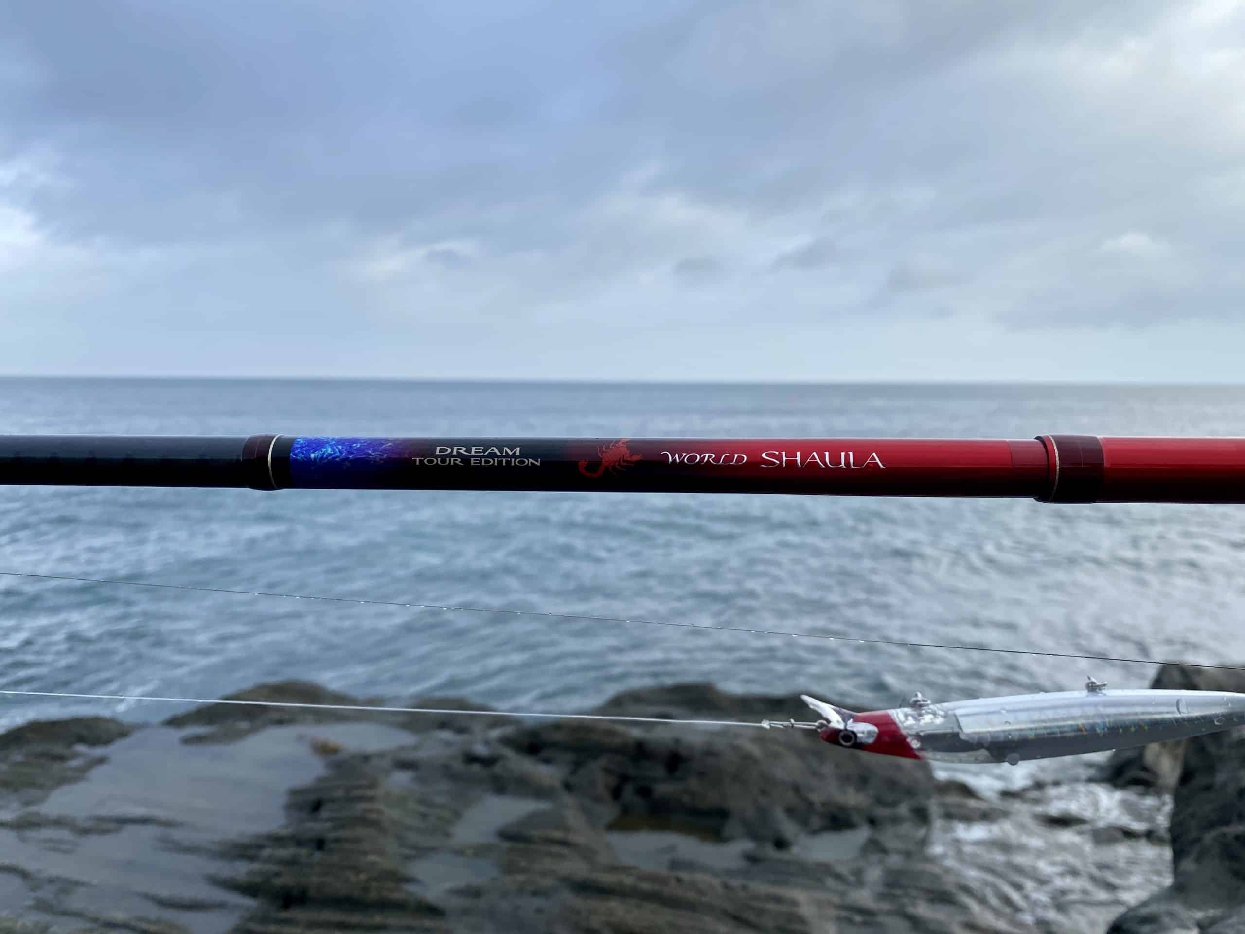 憧れの】21ワールドシャウラ2833RS-5を実際に使ってみた - おれが釣り