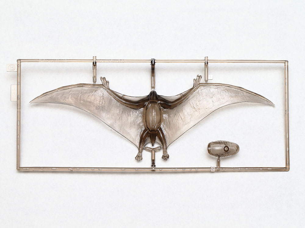 60204 1/35恐竜シリーズ プテラノドン【60204:4950344080052】｜タミヤ