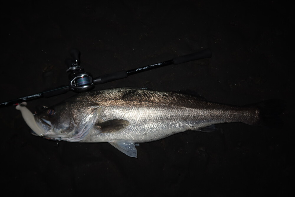 OceanSprinter 844 | TRUTH JAPAN