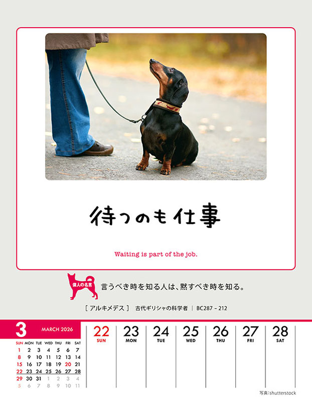 トライエックス / 人生はワンチャンス！ 卓上/壁掛 2026年カレンダー