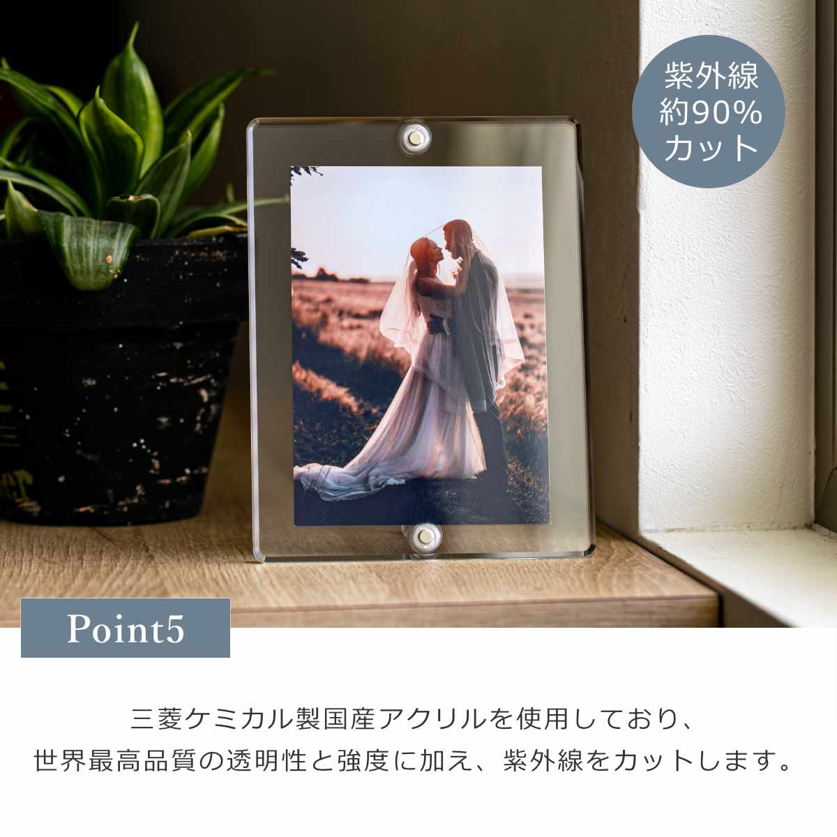 日本製】【アクリルクリスマスツリーおまけ付き】 マグパチ フォト