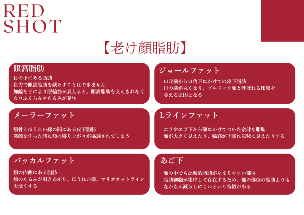 RED SHOT レッドショット - 美容メーカー|トライアングルアンドコー