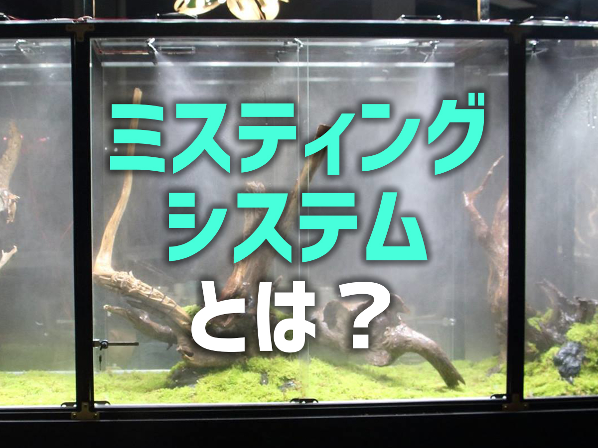 ミストメーカー他 観賞魚＆爬虫類＆両生類ビバリウム・テラリウム作成