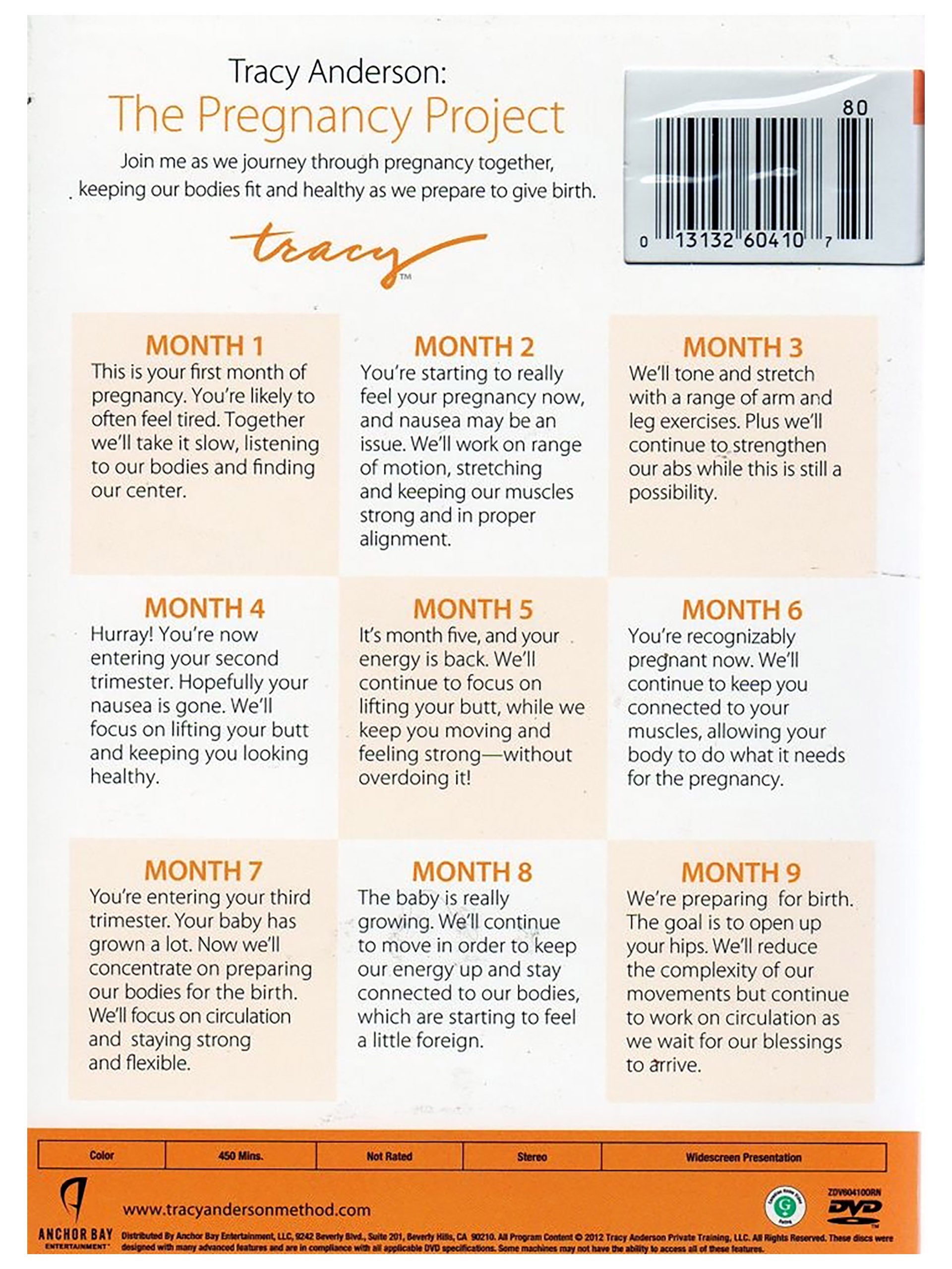 THE PREGNANCY PROJECT: 9 DVD SET – Tracy Anderson