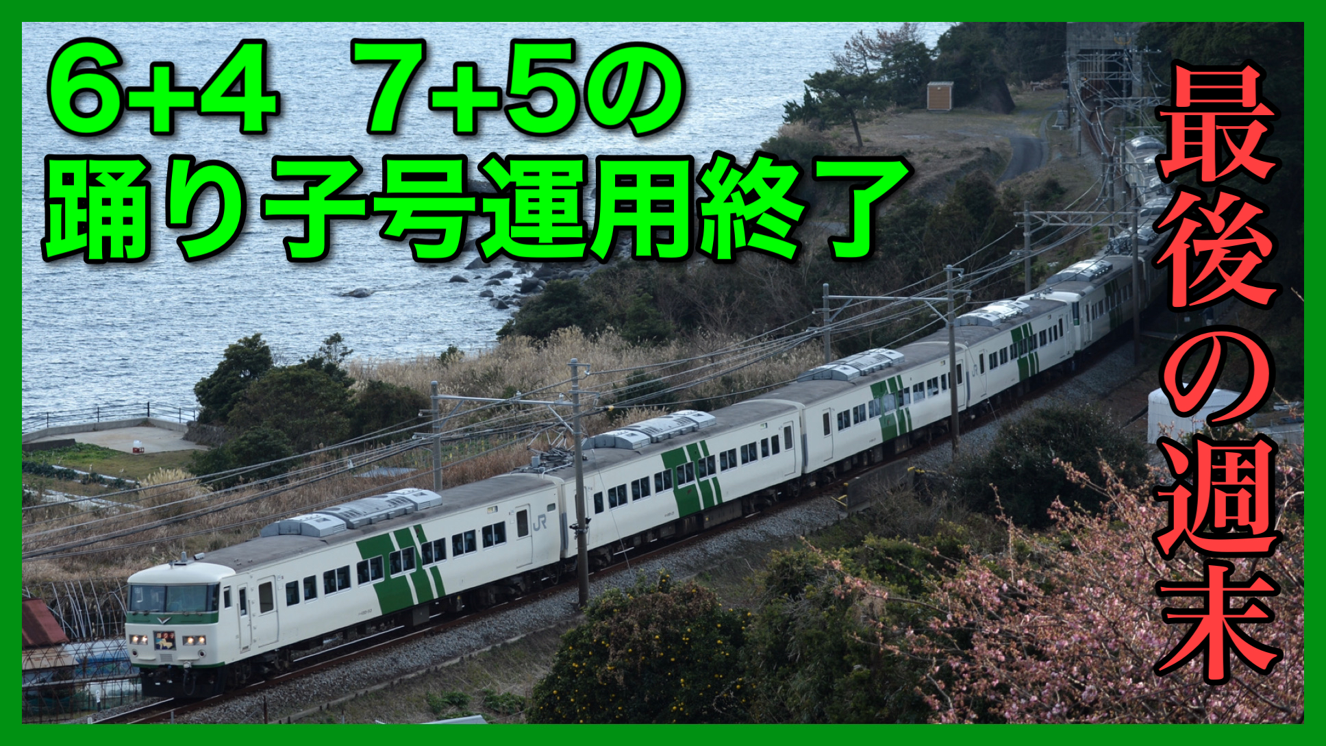 最後の週末】185系踊り子号 波動用10両・OM編成+C編成12両での運行が