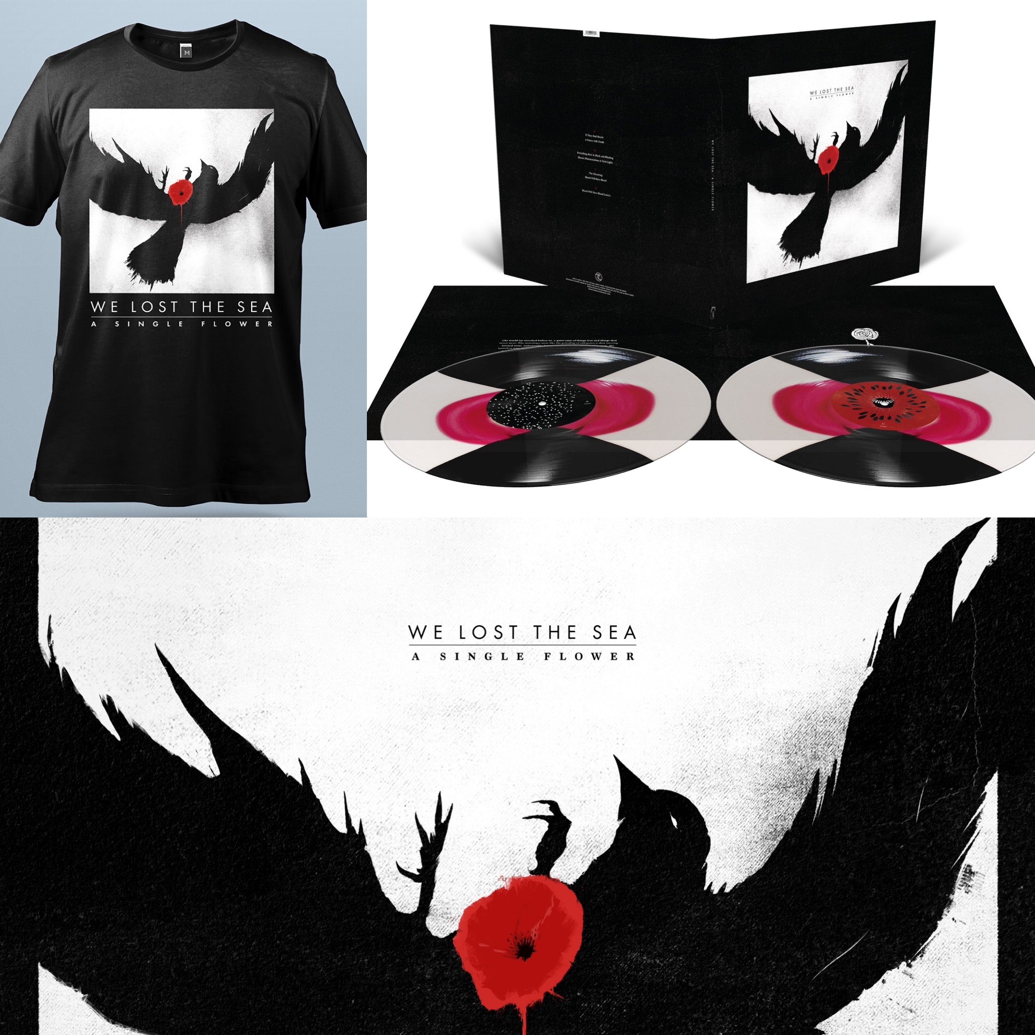 Translation Loss Records