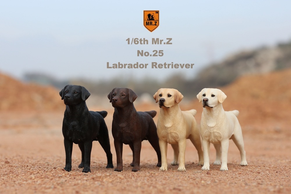 Mr.Z 1/6 ラブラドールレトリバー スタチュー 4種 (NO.25) *お取り寄せ