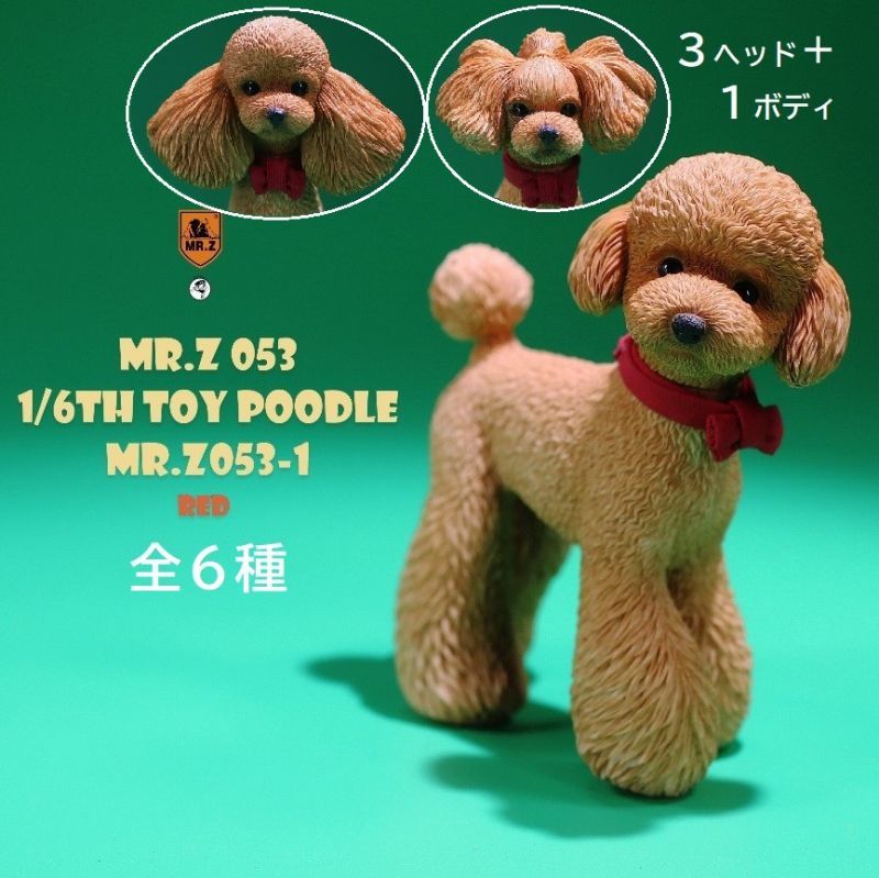 1/6 トイプードル mr.z mrz053