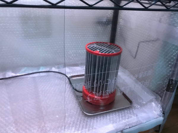 塊根植物 発根管理用 温室の製作 | 塊根植物・コーディックス・多肉