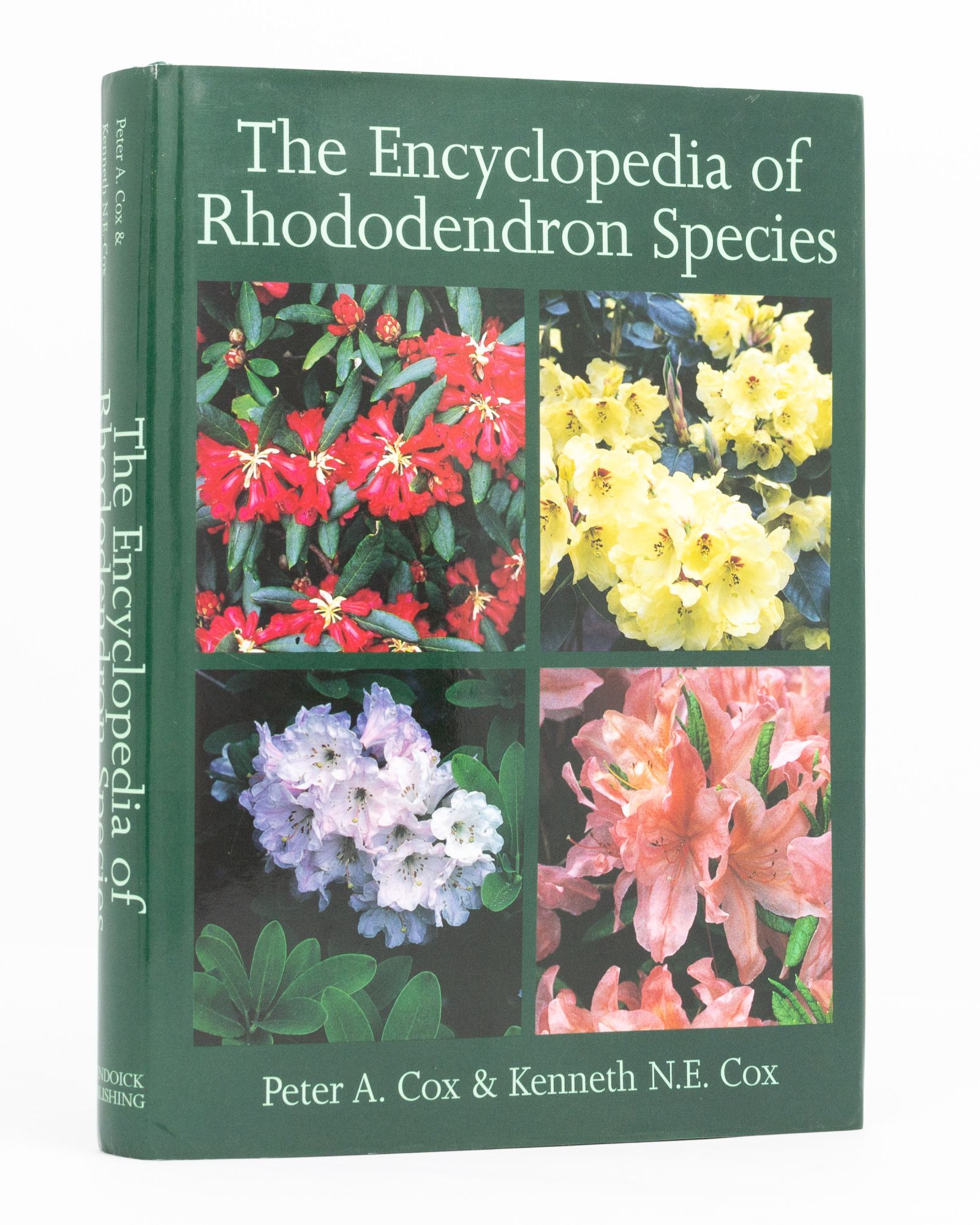Encyclopedia of Rhododendron Species | Peter A. COX, Kenneth N. E.
