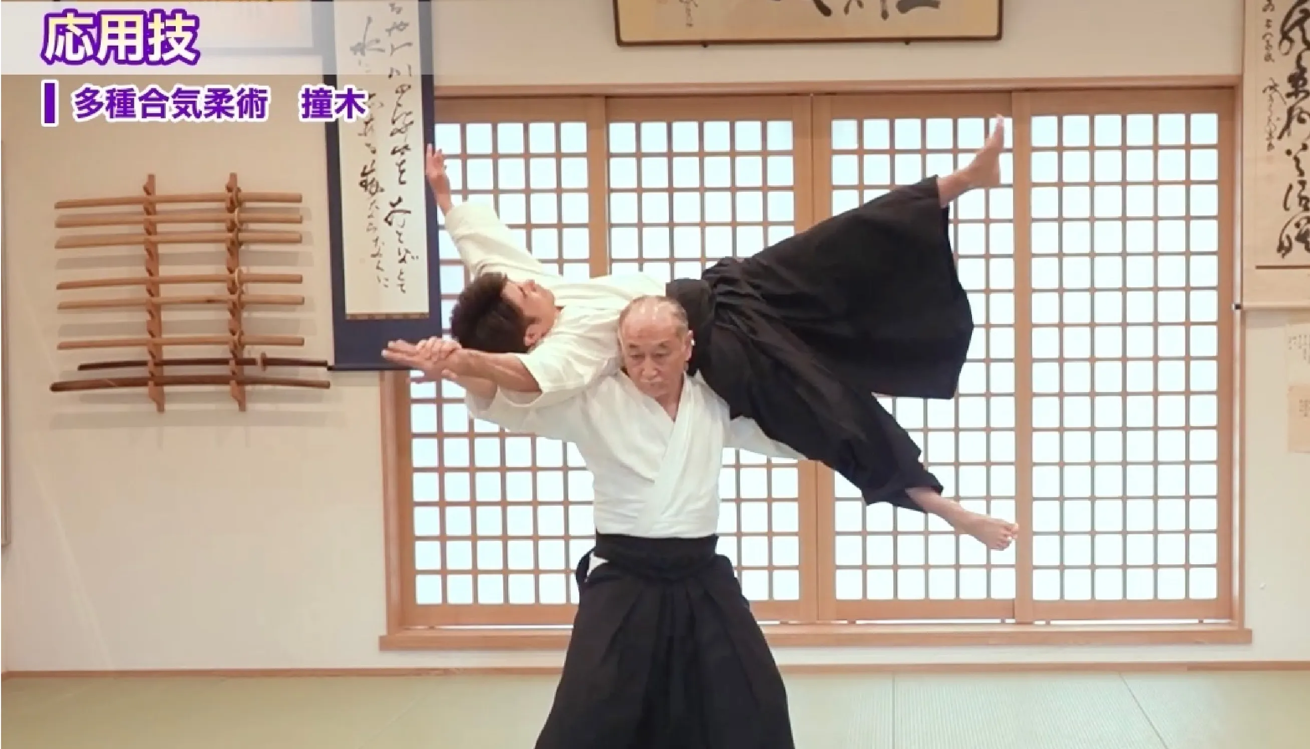 あなたの技が激変し、相手を無力化させる合気の指南書。正伝・大東流合