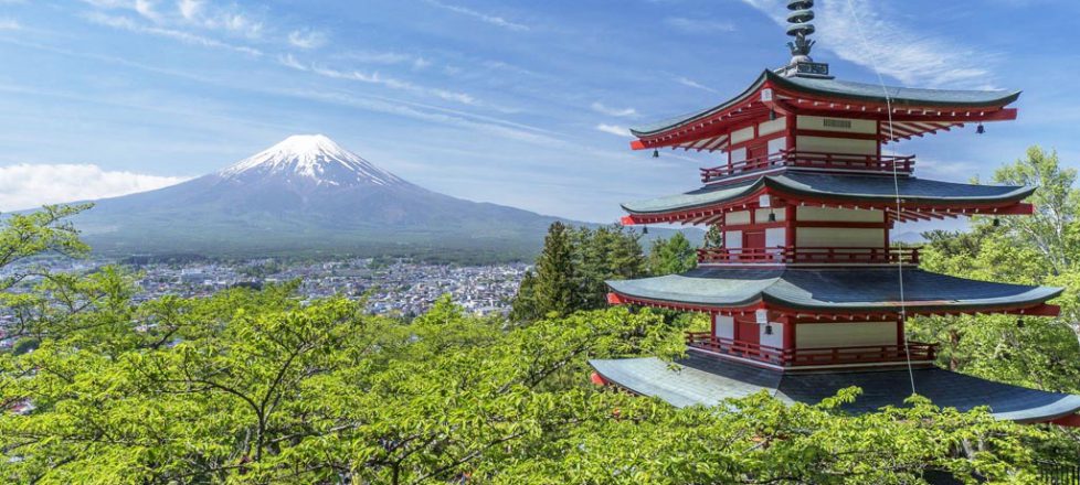 Trip Insight | Custom Private Tour and Study Tour in Japan