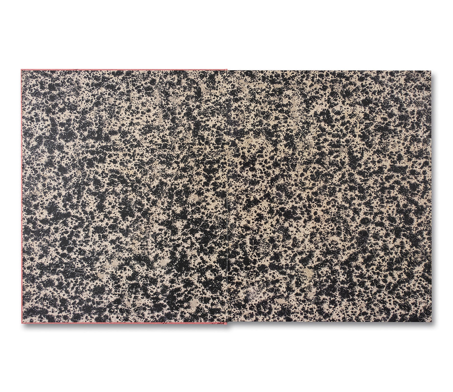 THE ARTIST'S BOOKS by Francesca Woodman – twelvebooks