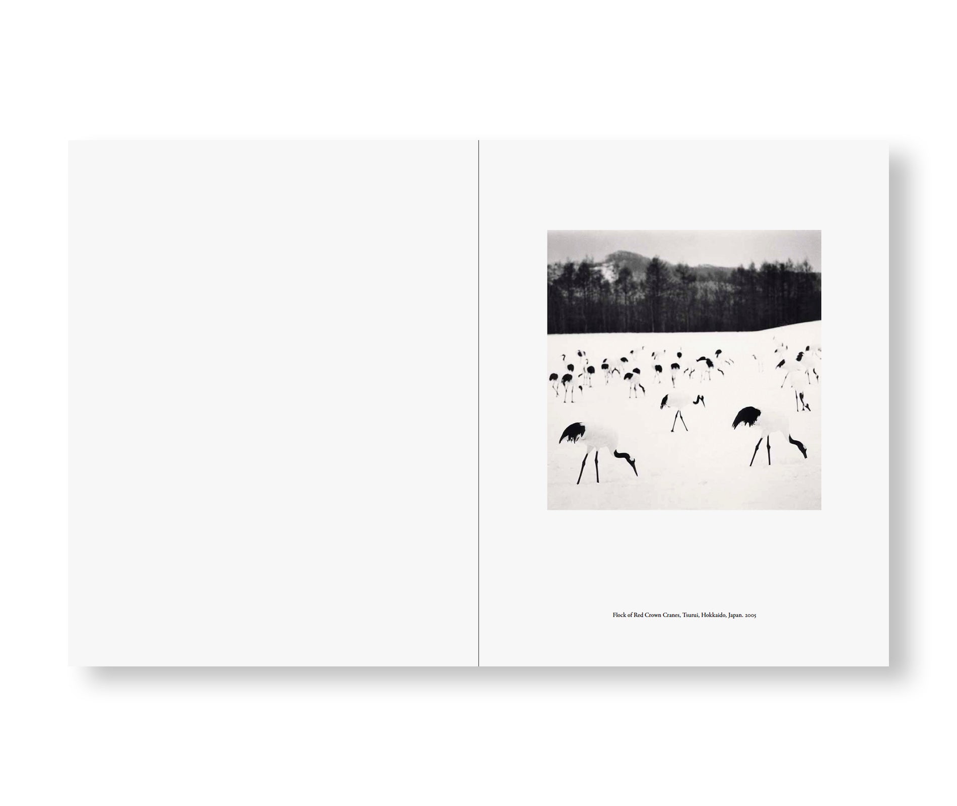 JAPAN | A LOVE STORY by Michael Kenna – twelvebooks