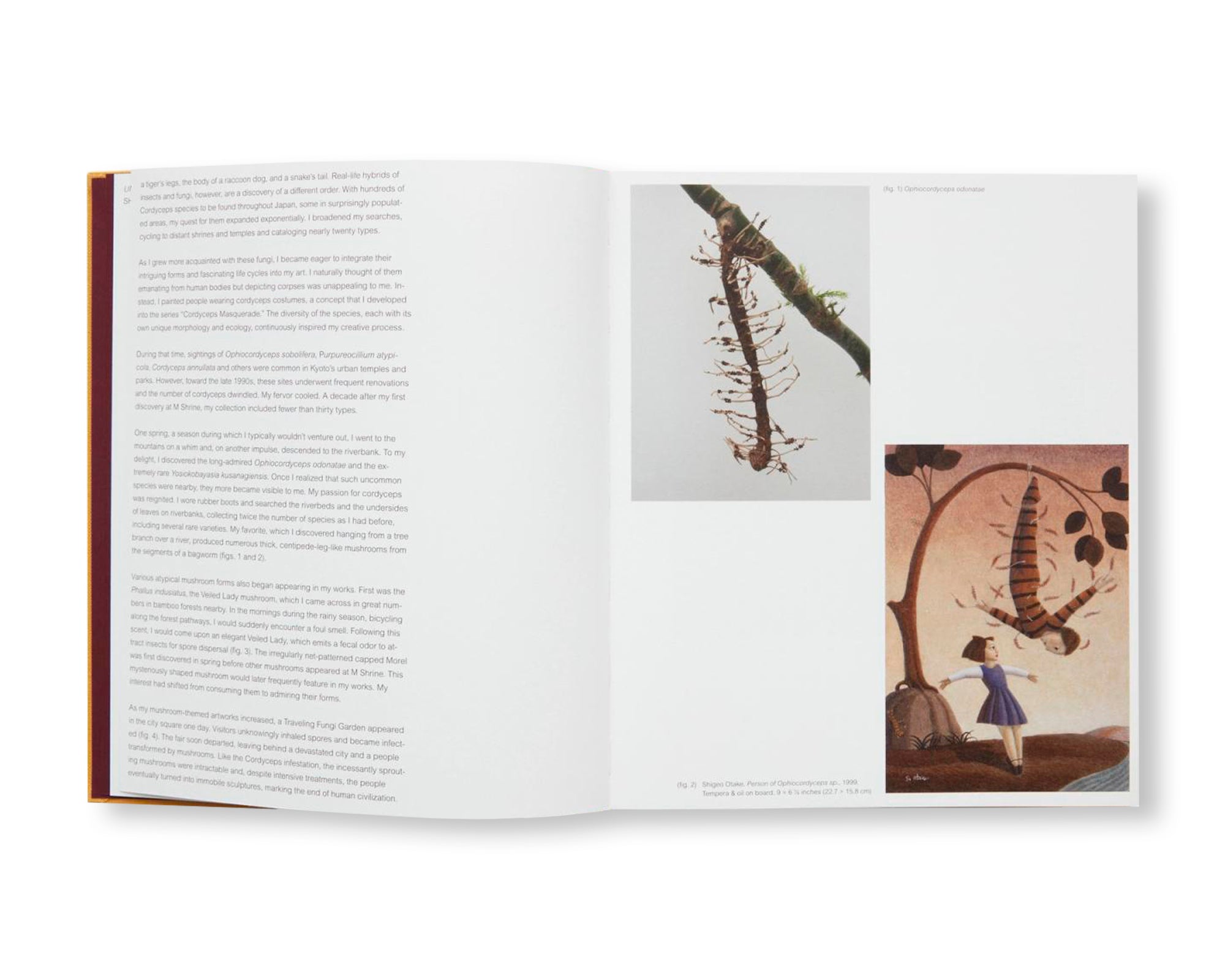 A DIM COZY ROOM by Shigeo Otake – twelvebooks