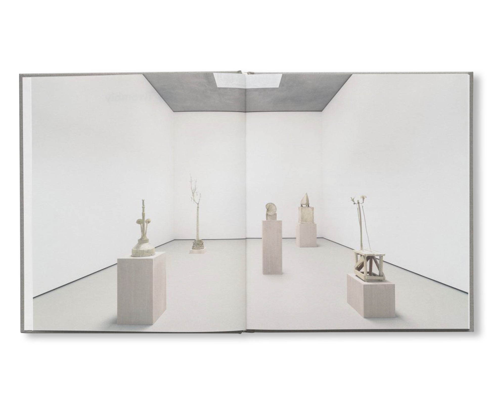 CY TWOMBLY by Cy Twombly (GLENSTONE MUSEUM) – twelvebooks