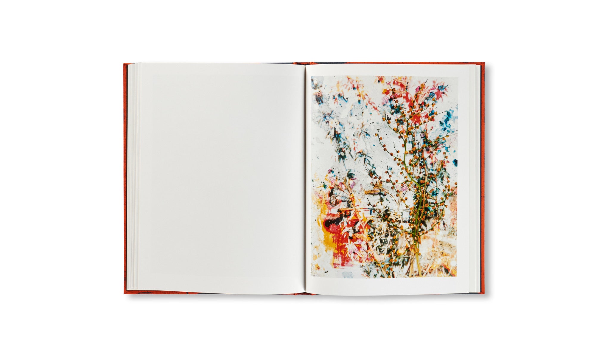 HACKNEY FLOWERS by Stephen Gill – twelvebooks