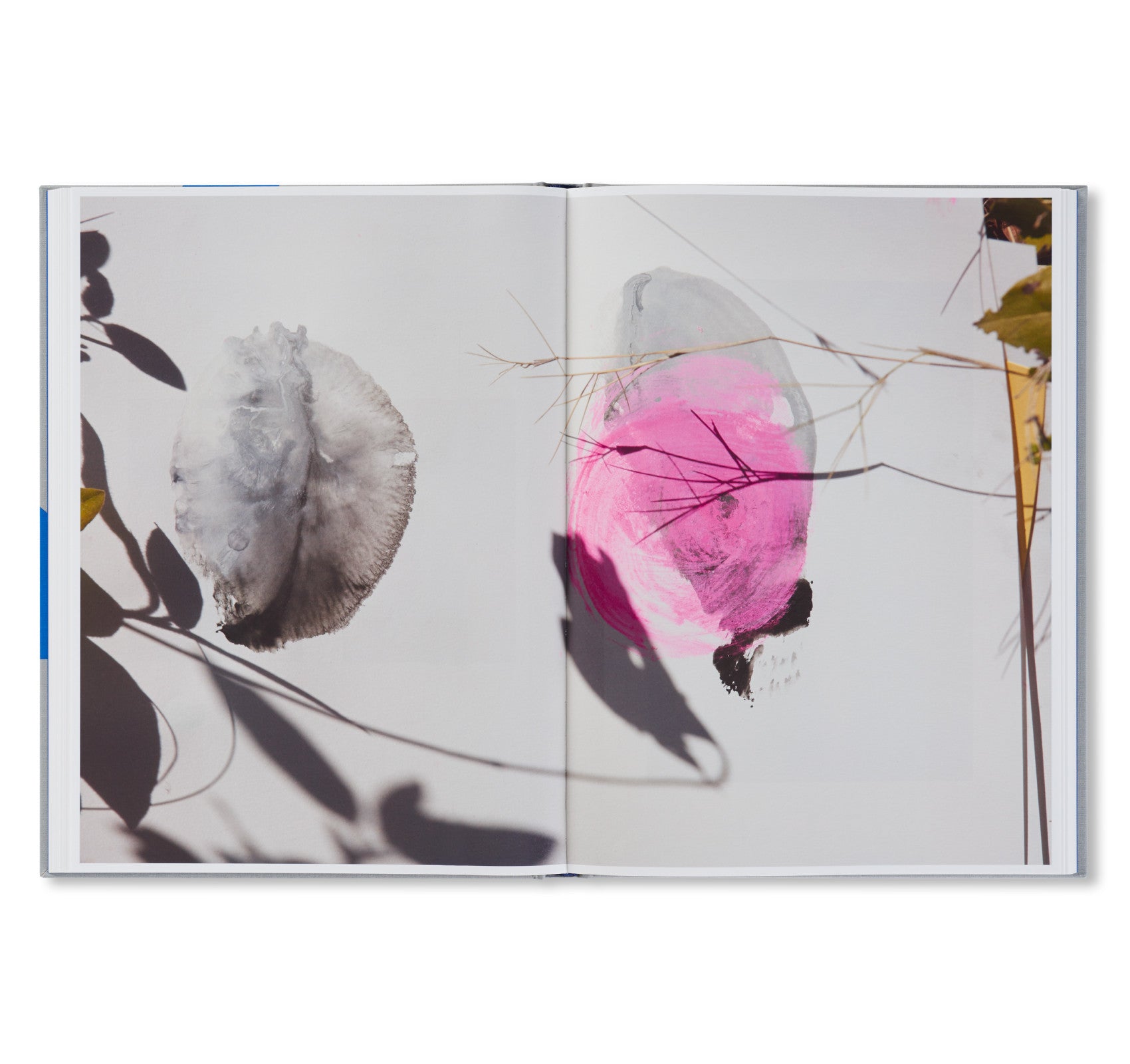 ROXANE II by Viviane Sassen [FIRST EDITION] – twelvebooks