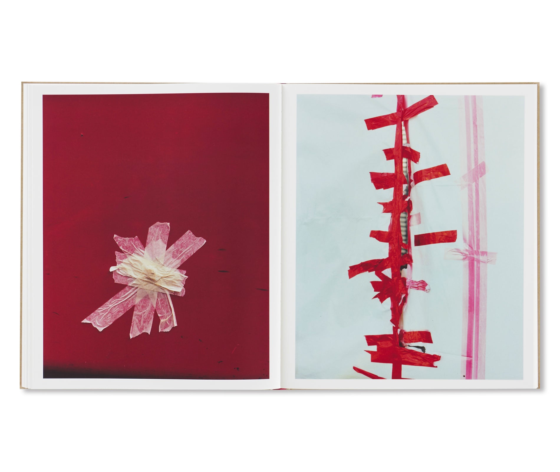 PAINTINGS by Harley Weir – twelvebooks