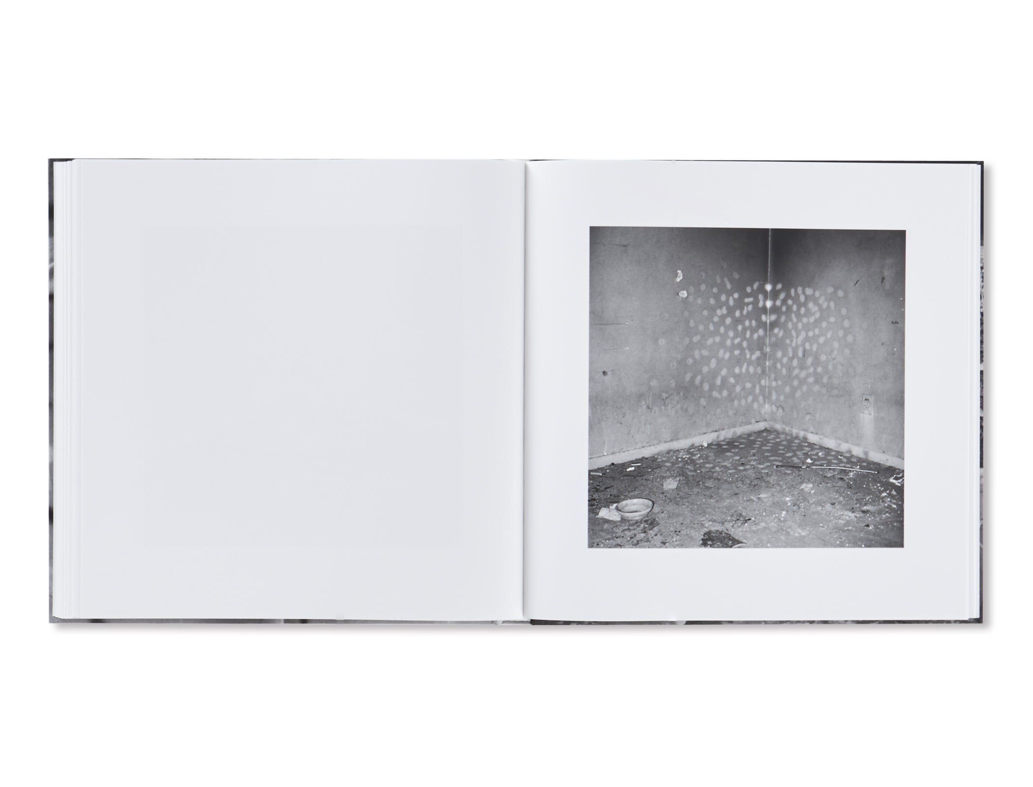 VANDALISM by John Divola [SIGNED] – twelvebooks